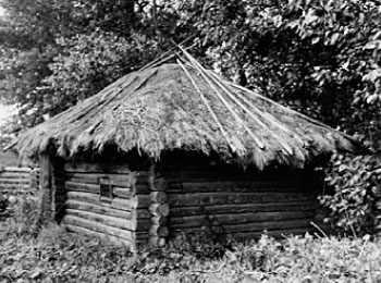 Баня, крытая соломой. УАССР, Алнашский р-н, д. Чумали, 1980 г.
